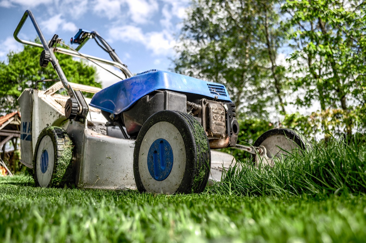 How to Incorporate Sustainable Gardening into City Life?